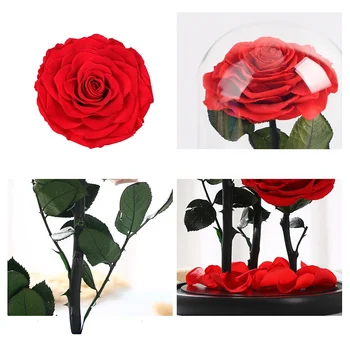 Eternal Rose Stiklo danga Eternal Rose Stiklo Išsaugota Šviežia Rose Stiklo Valentino Diena Romantiškas Rožės Stiklo Nemirtingas Rose
