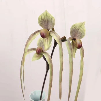 3 šakutės Paphiopedilum Dirbtinio Šilko gėlių Kišenėje Orchidėja Netikrą Gėlių Namų Garden Hotel Apdailos Gėlių Išdėstymas