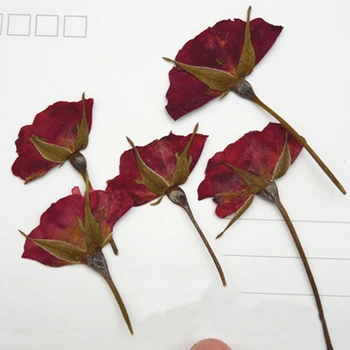Raudona Džiovinti Rožių Žiedlapiai Amatų , Džiovinti Rožių Pumpurai Amatų Už Mobilųjį Telefoną Atveju 60 Vnt Nemokamai Siunta