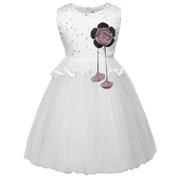 2020 Nauja Vaikų Suknelė Mergaitėms Išsiuvinėti Princesė Suknelė Šalis Gimtadienio puotą Akių Gown Dress Suknelė 2-6 metų